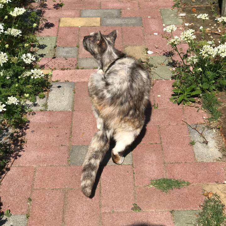 84818fc5 6027 45d9 9ce9 e8059c1b1c41