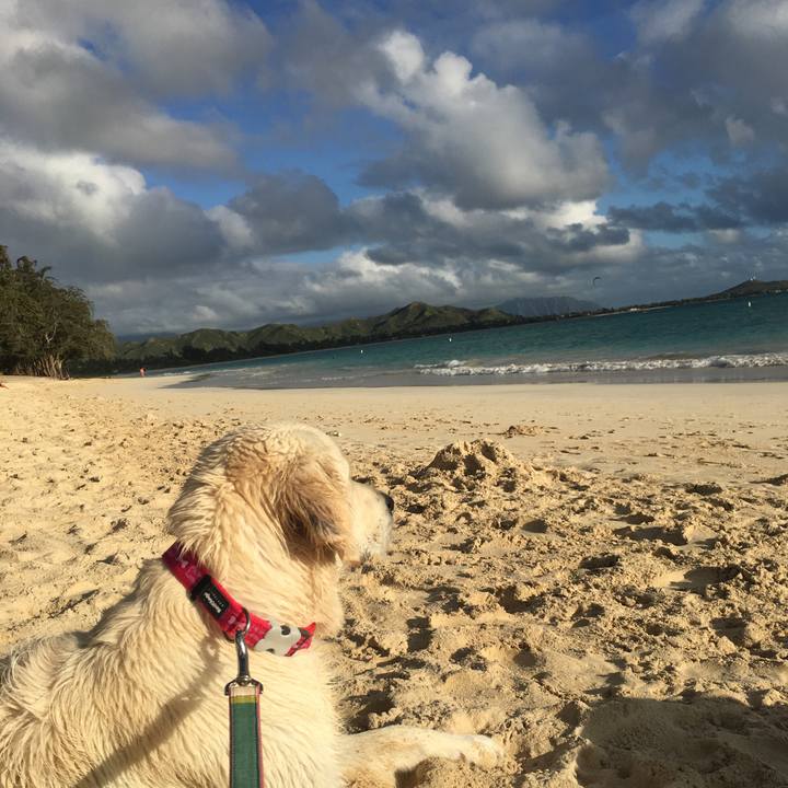 8481d01e 4bf9 4ade b819 aac0e051e3a5