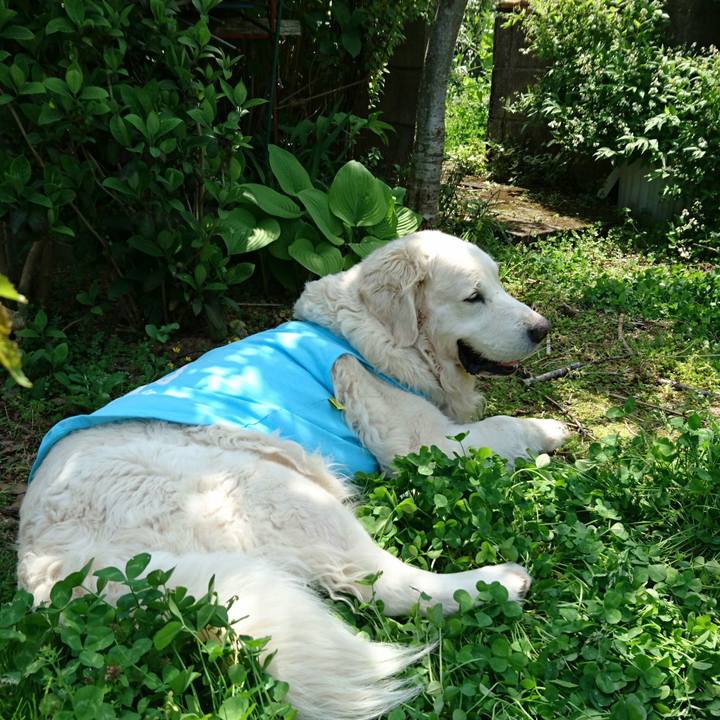 84822e48 0652 4316 8d03 2822038e4248