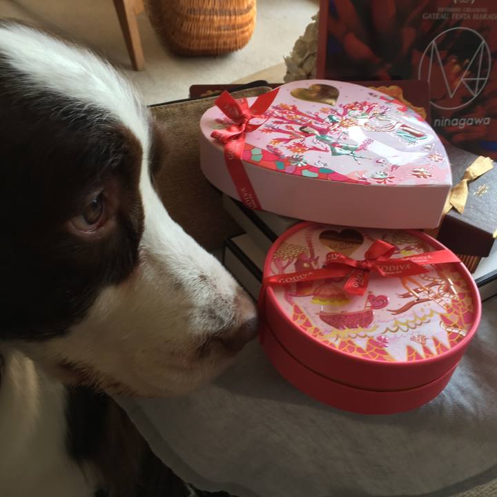 84831403 3ee1 4167 a04f 0bce7ef36240