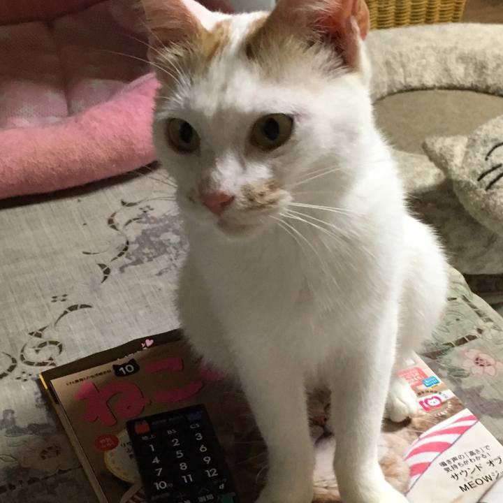 84832780 d669 4c7c 988d 022842394f23