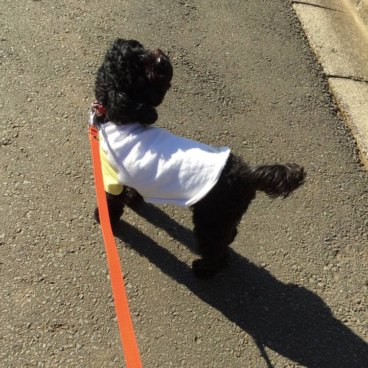 8483704b dac0 442a b6ec 8fc0c8470bf6