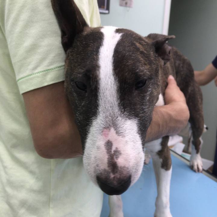 8483a641 c175 4181 b11a b3cab1af7703