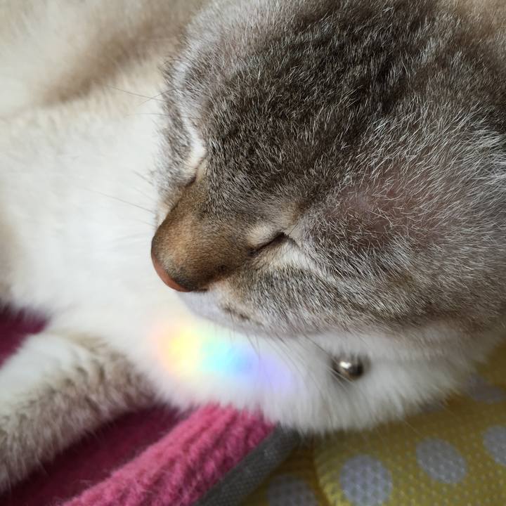 84841226 0108 4570 ab9e 5ad62dc05b9c