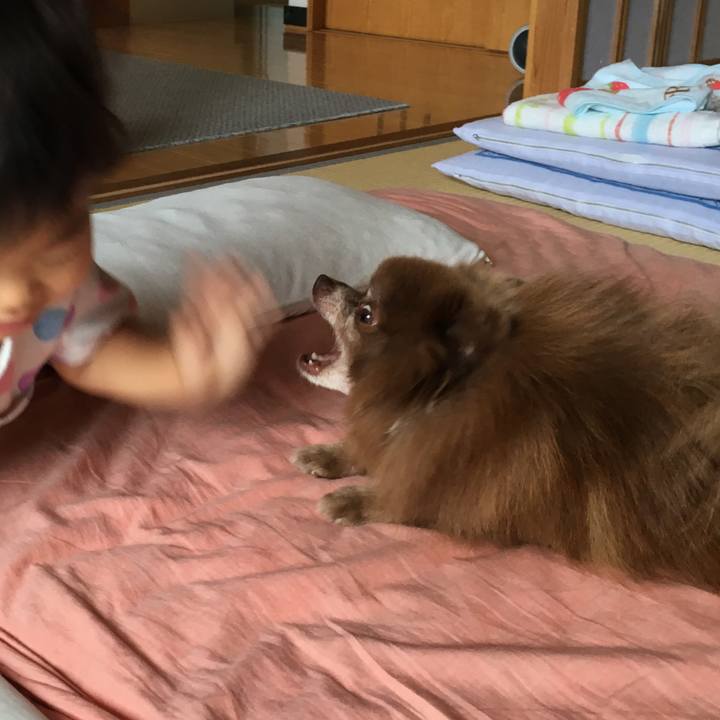 84868c2d f7d9 4afa a0da 36a3517f81e9