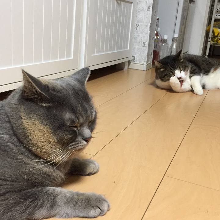 84882d84 b42b 41b4 a137 79722ba65d25