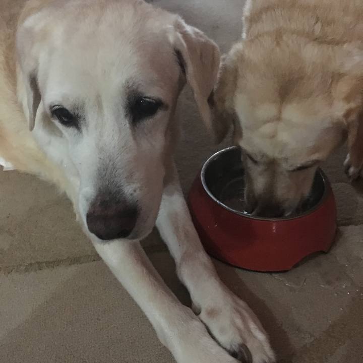 84891202 6b1a 4476 bfc3 7712a779c384