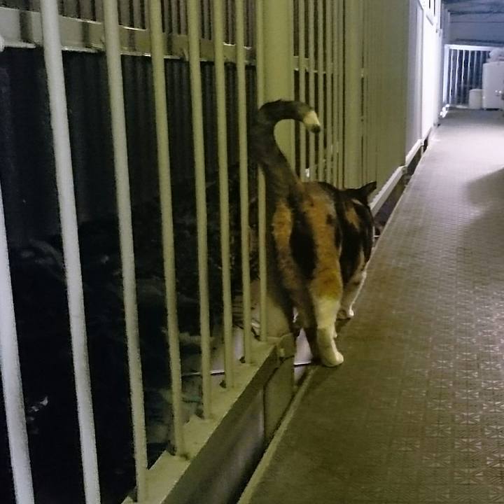 848a1101 52ce 48e9 85b8 5a81c155322d