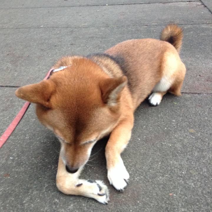 848a193c 3c7d 4621 bcfe 4aa32382df59