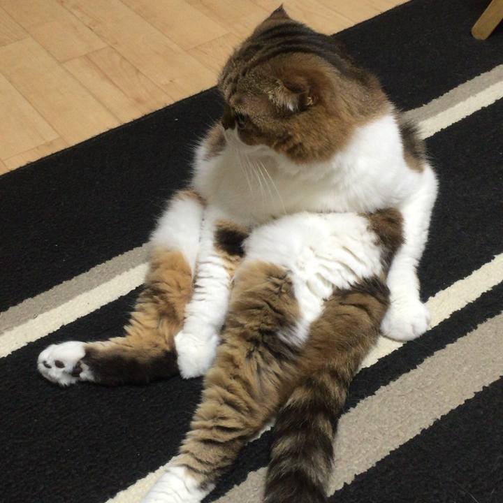 848a596f bf8c 4925 a7f3 d1d0188c2894