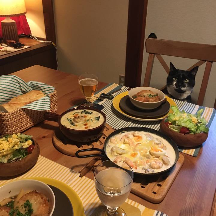 848a8fa4 df72 458a a0b0 d618e969a33a