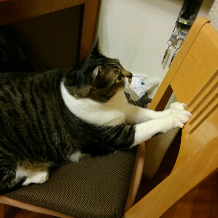 848ad785 e8e7 48c1 8ddc 22be56edc450