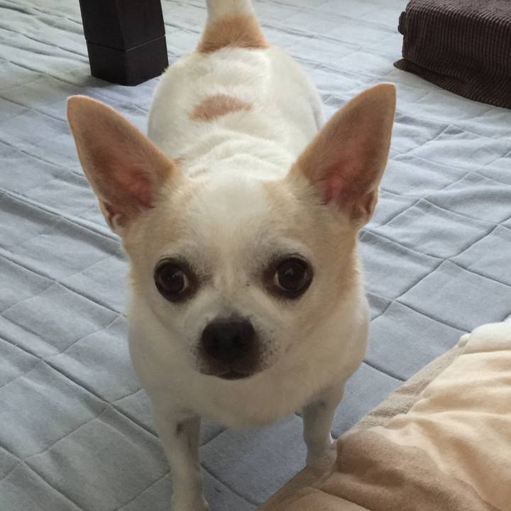 848badee a638 414b 8b91 bb1218a84039