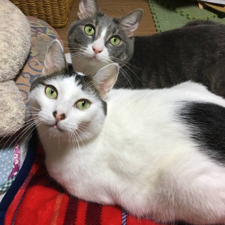 848c8bad 2923 4b55 b7f8 76e1b750ebc6