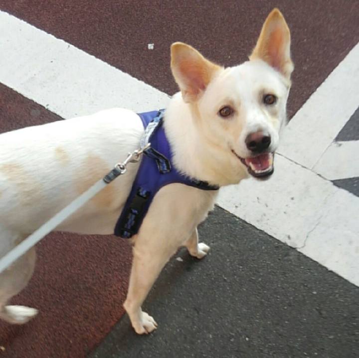 848cf1d1 1b11 4c2f b8c8 806168c83494