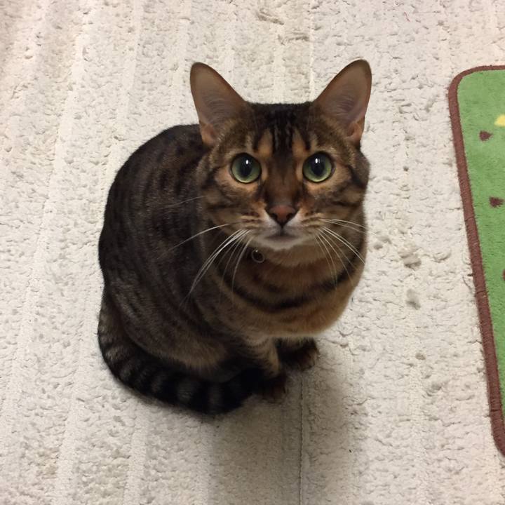 848dcbec 2fd8 49f6 84c0 6f69ca96034f