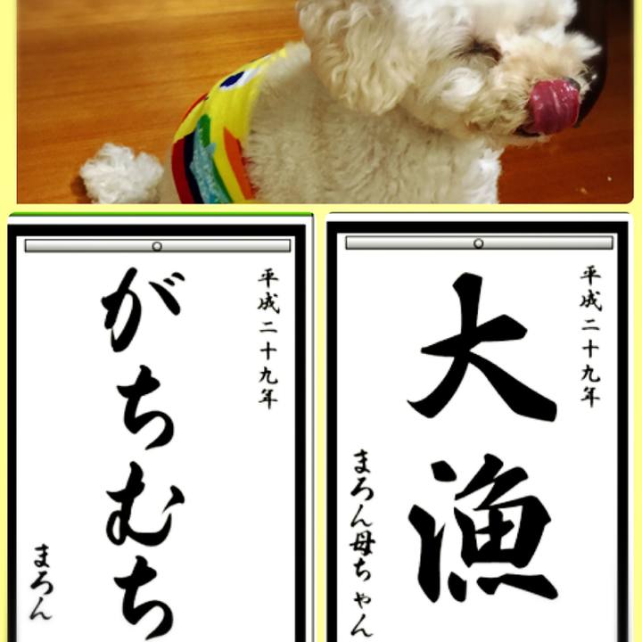 848df010 4875 40e0 8a30 e7b63dfd1626