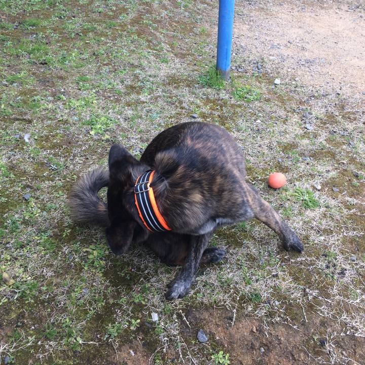 848f95a7 3d09 4901 b674 f18db5149041