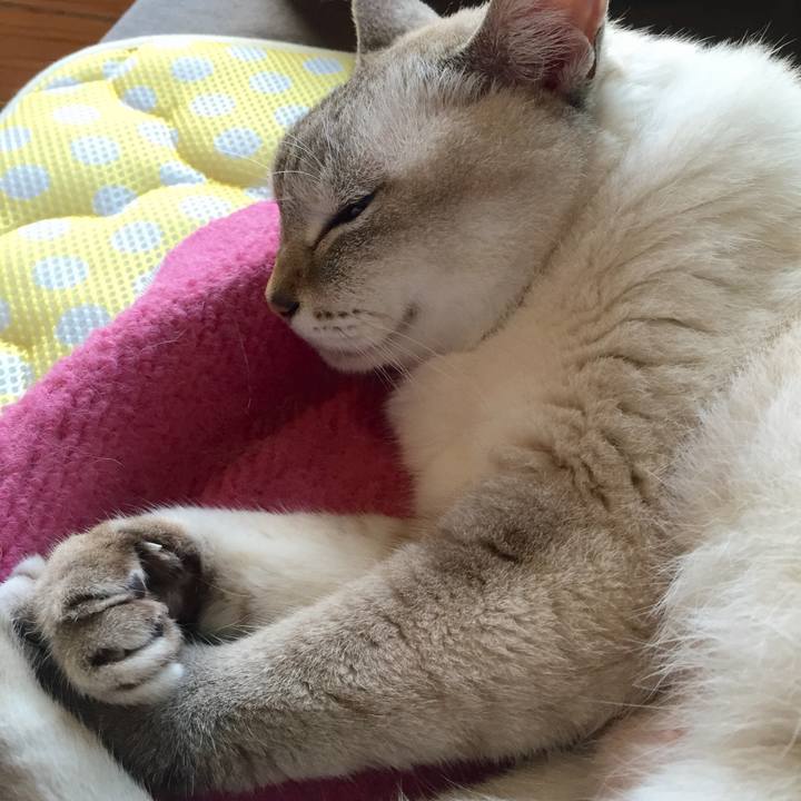 848fd8d6 0b2a 4a8d a5fd 7d5dd3013816