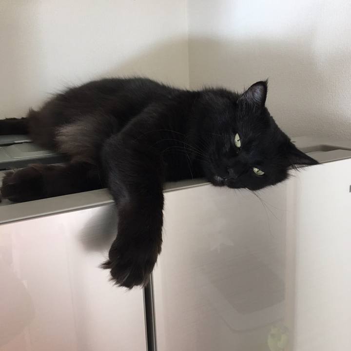 848ffbb5 1bd7 4f2c bd99 d109410bcd5f