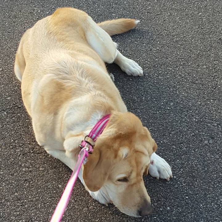 8490121d 8581 4505 8687 34d3c8af2076