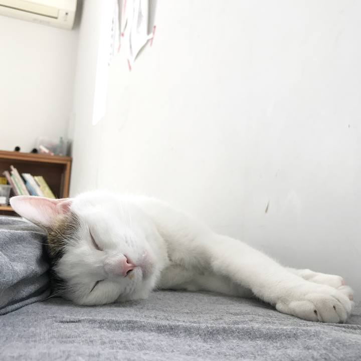 84904921 cacb 415a 9120 d82a6e58bf30