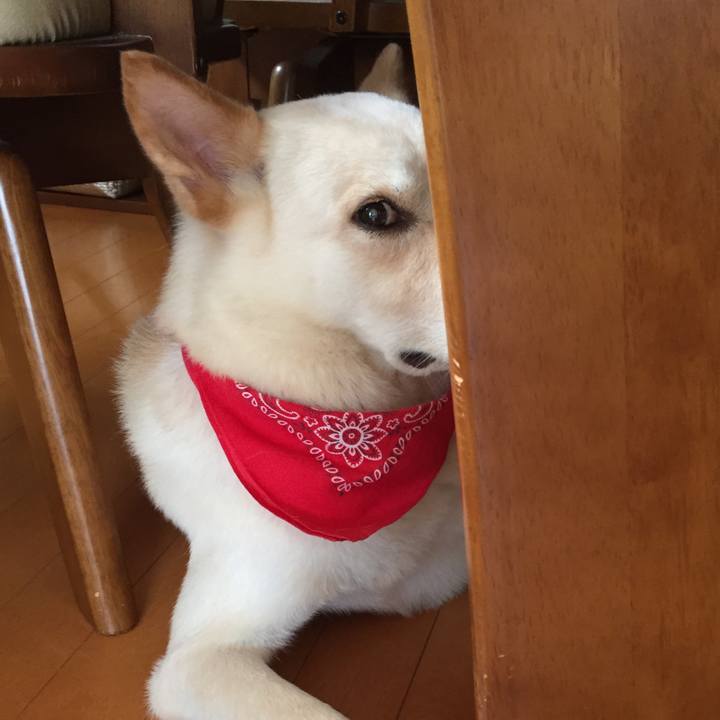 8490906a 3eda 45b0 bfb4 e90a3ba1c0db