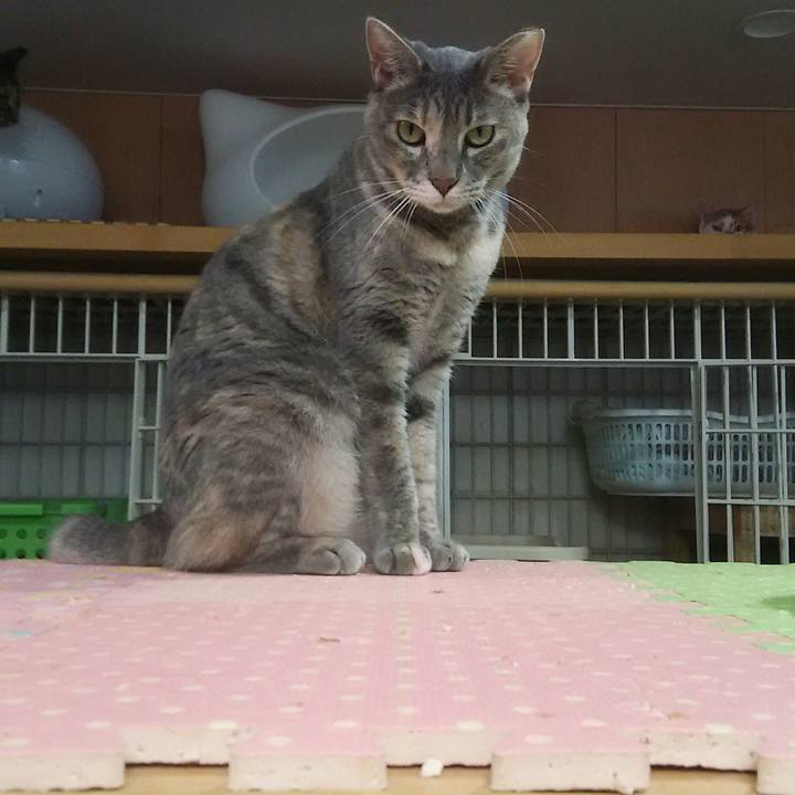 8490d39b 77fc 4763 86bd 8f06fb335169