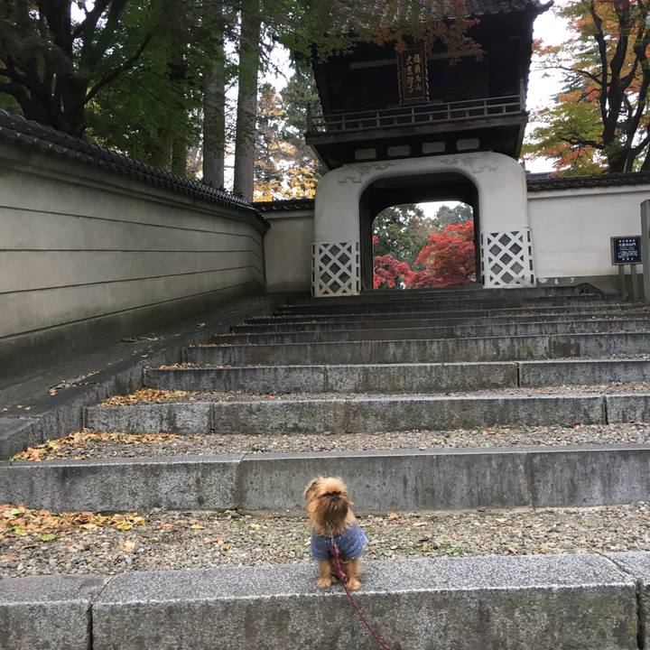 8491507e 749b 46ff 8abb 61fa154aab57