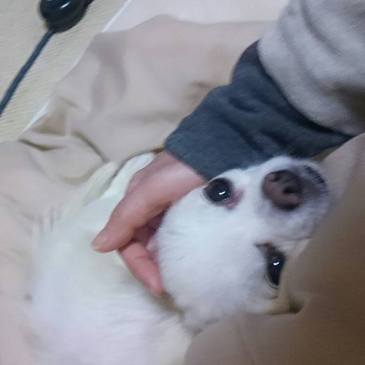 849171c4 fc34 48ca bfab ef153964a119