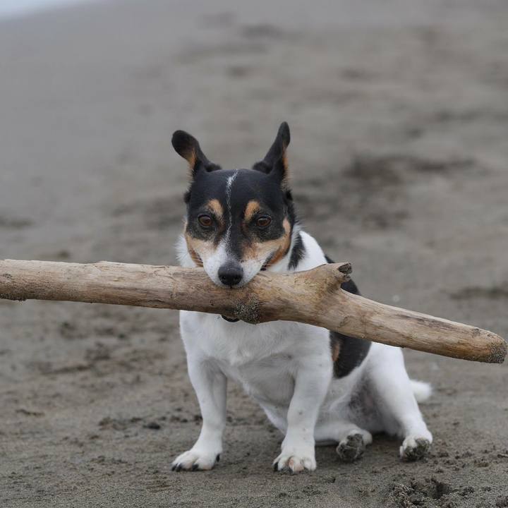 8491b24a b032 4a2c 9b28 6eaabef7e535