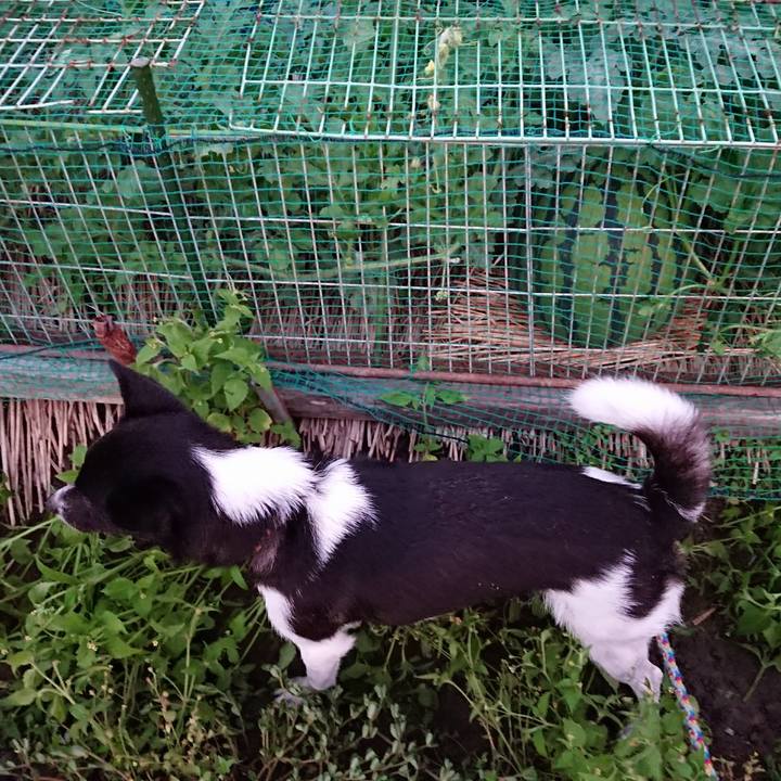 8491dad5 4e35 46d4 925a 39d0e93f75ae