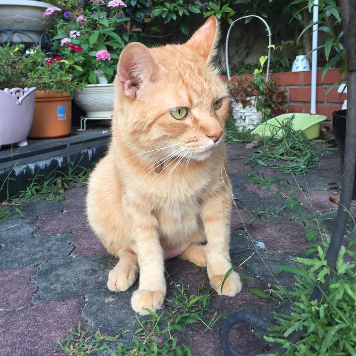 84924619 202e 4b58 8a21 21fb06180c99