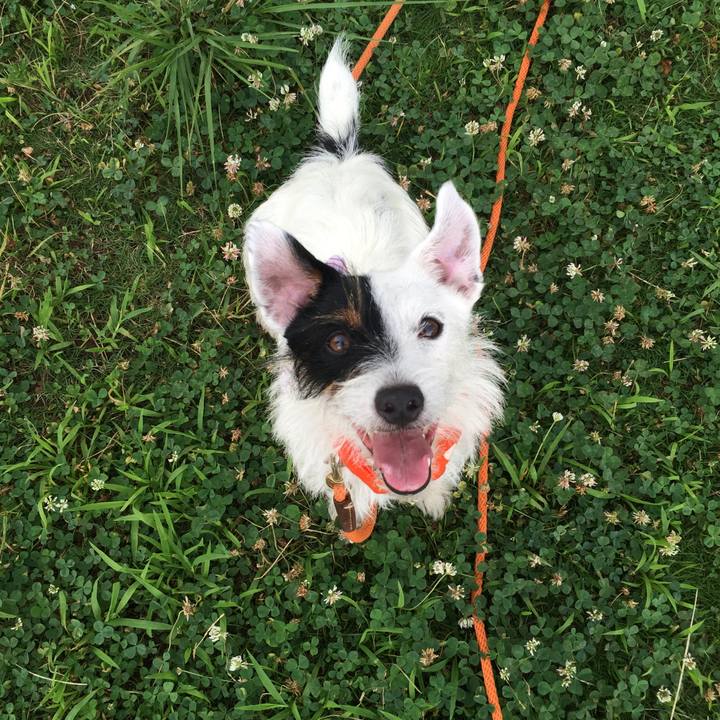 8492e248 7c8e 42a1 a059 237e9c38b4fa