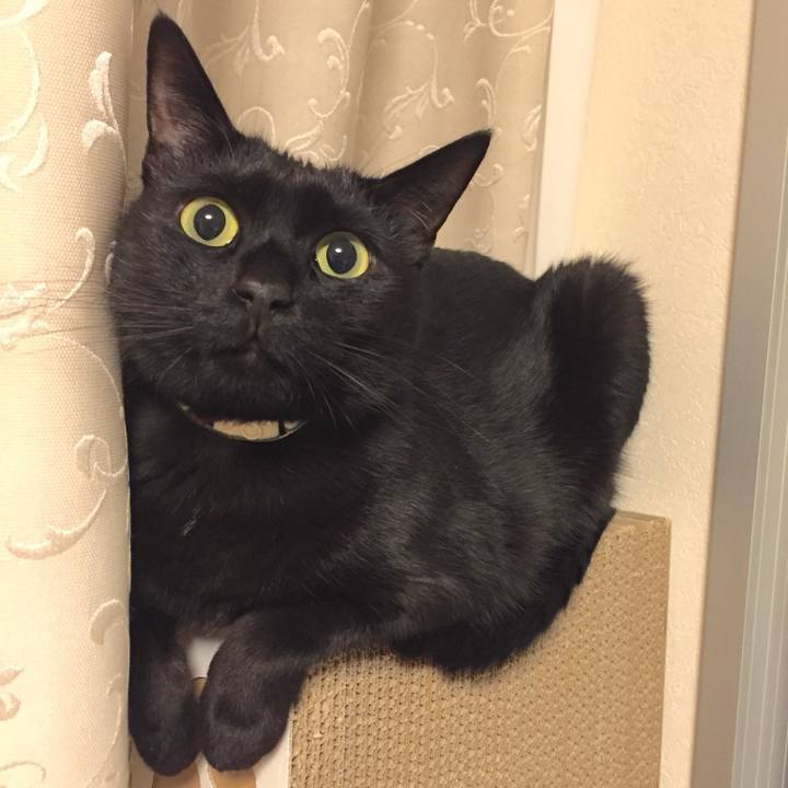 8493c2d7 fe4f 4906 b201 54b9c70a34bc