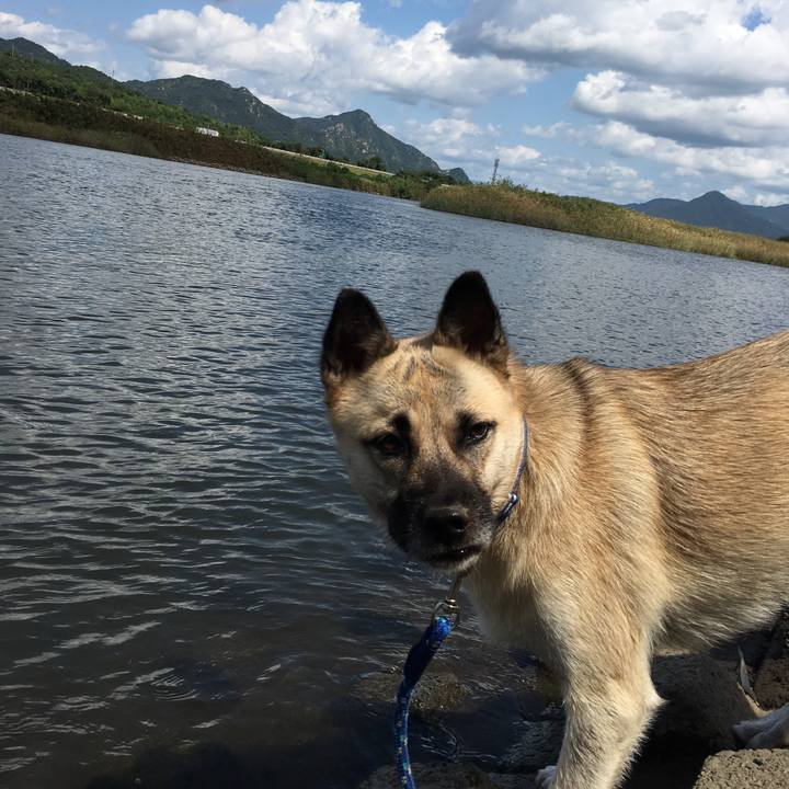 849461ec f46b 49f2 9c3d 7907e796df35