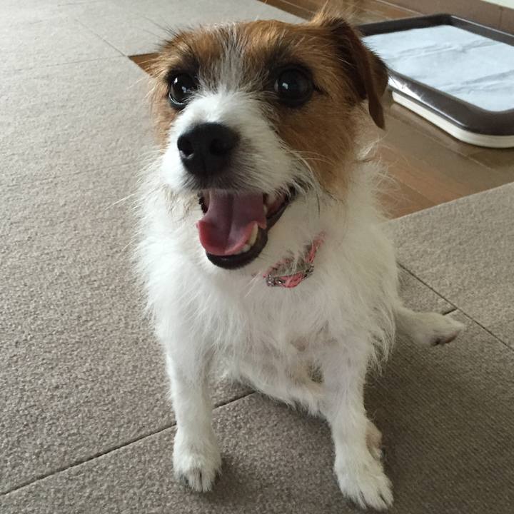 8494a6eb bc4e 40ae be1a 135c7562b4fe