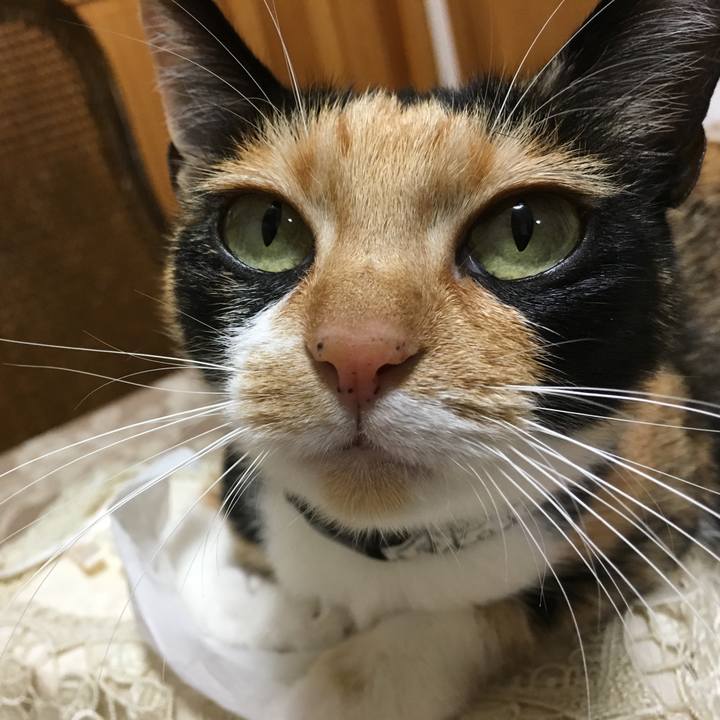 8494e963 3f8b 435a b3ea 0db36c1e6c91