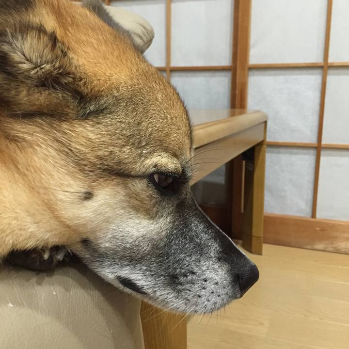 84951840 e188 4eb0 b474 f78188aaf588