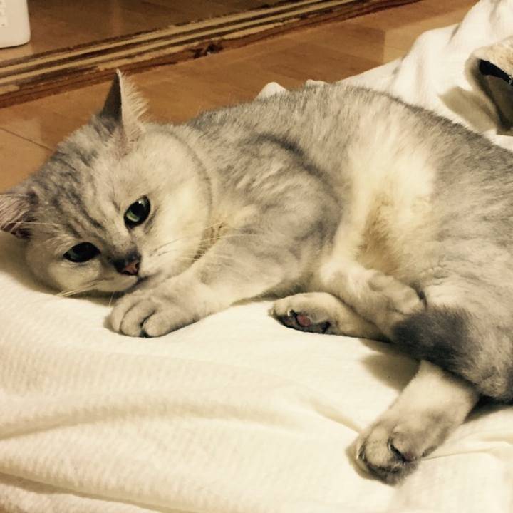 849546bb 3d4d 4599 a2ca b7c8c882040a