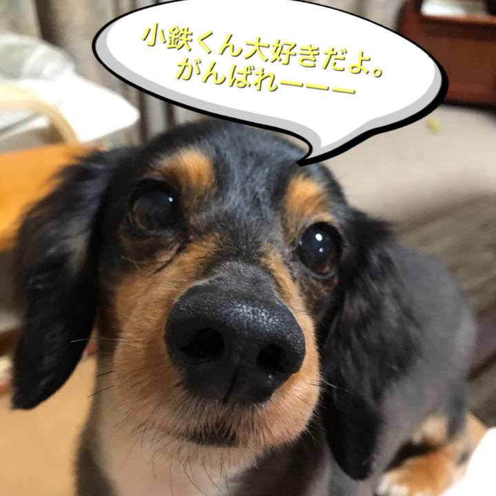 84954b79 a430 4d70 93c1 55c16bb8b598