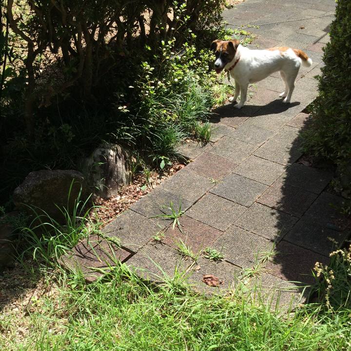 8496992d a29e 4972 8045 63cc7fd2bb2d