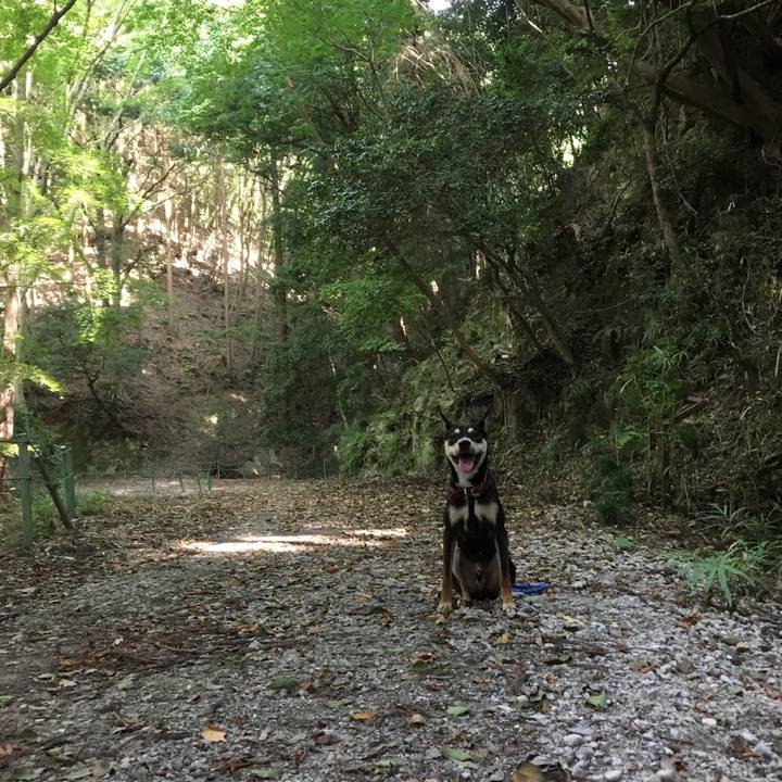 8496b816 dc3b 4ce1 ab84 f0f917f33d95