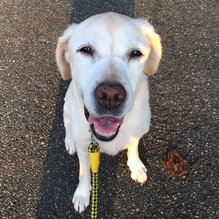 8497775e 3566 48e5 9939 e6a7881d7e21