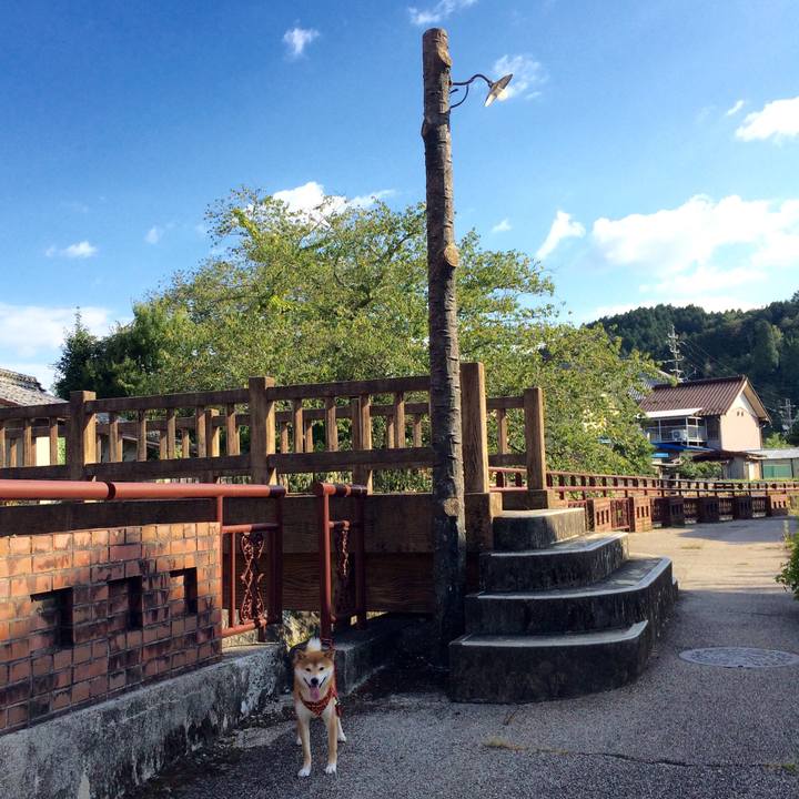 84978a50 8836 4d09 9525 a09ee79f7561