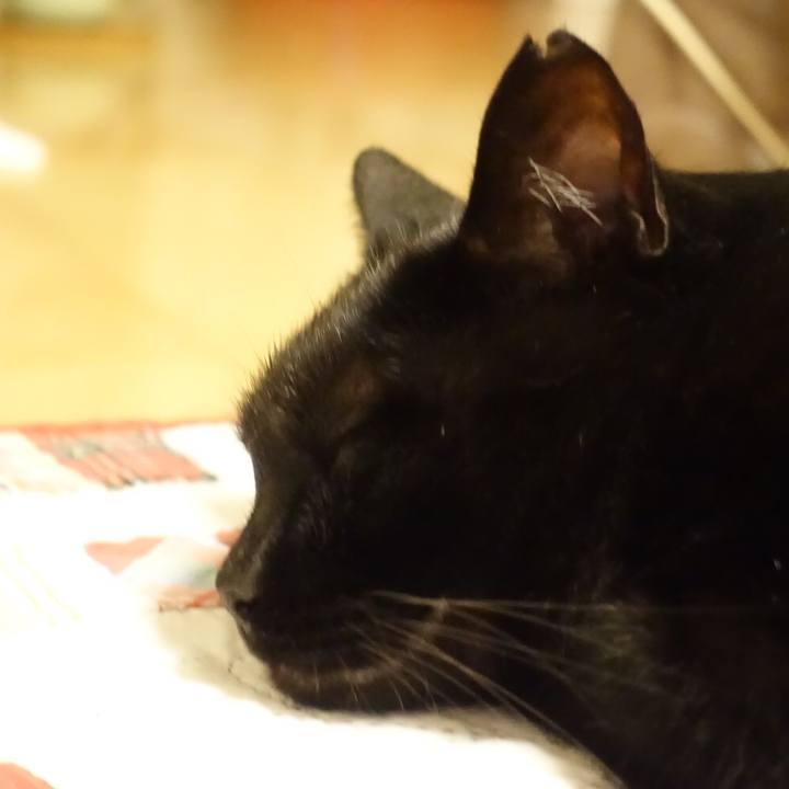 84979cbe 76ac 41a2 9913 f3c932529a1c