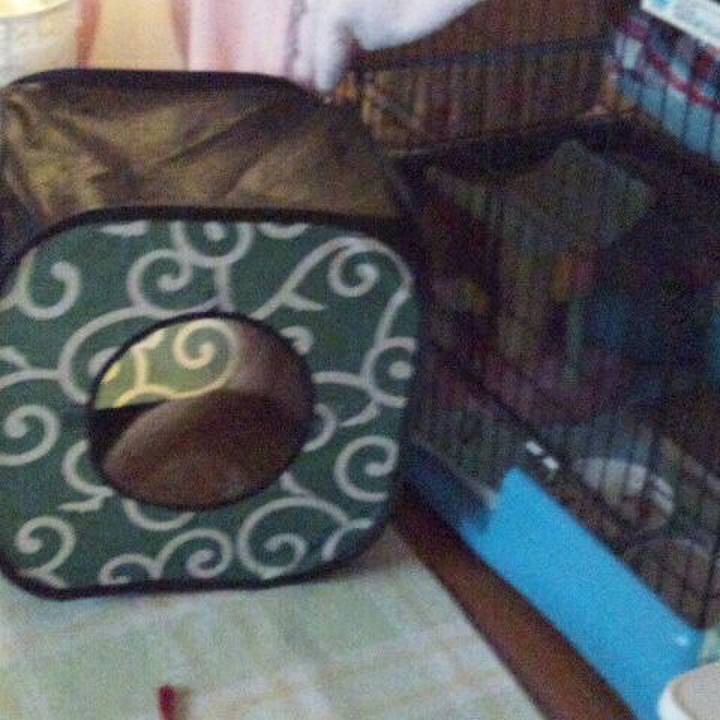 8497b16b 0b7c 45d7 8829 010a5ad8f0e8