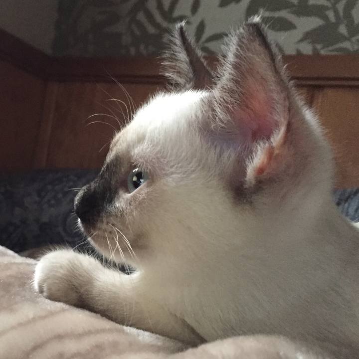 8497ceee 31ef 47ce 9682 1ab3005110fe