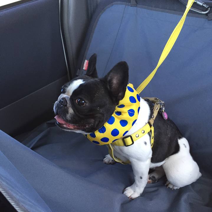 8498435e 5f30 4700 9bbb b90699d19f98