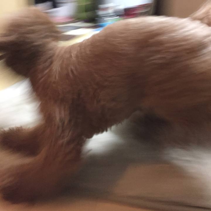 8498c965 1ab6 4732 919b 9ab634248b53